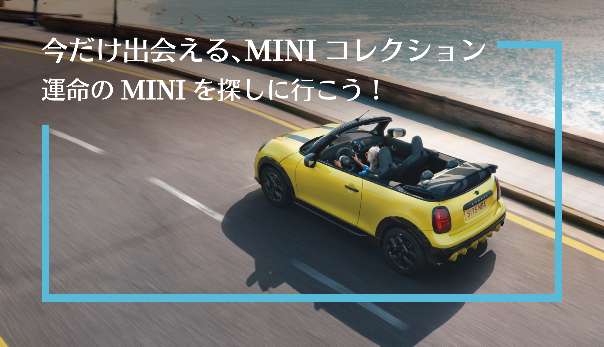 MINI ハーバー神戸